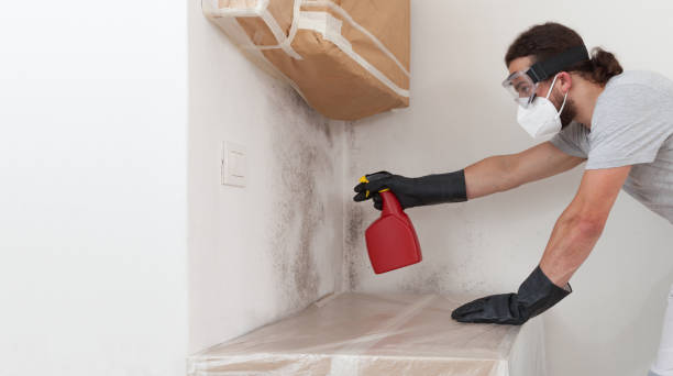 Professional Mold Testing technician working in Farmingdale, NJ