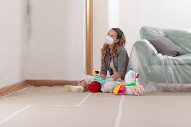 Reliable Mold Testing contractor in Farmingdale, NJ by WQB Mold Removal